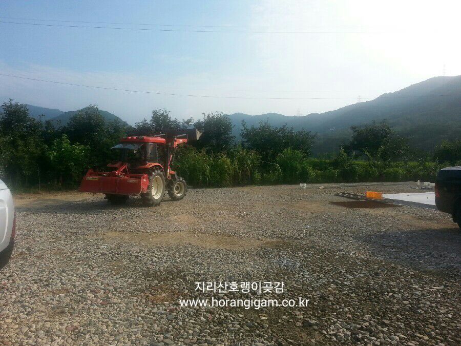 인스브레인 이미지