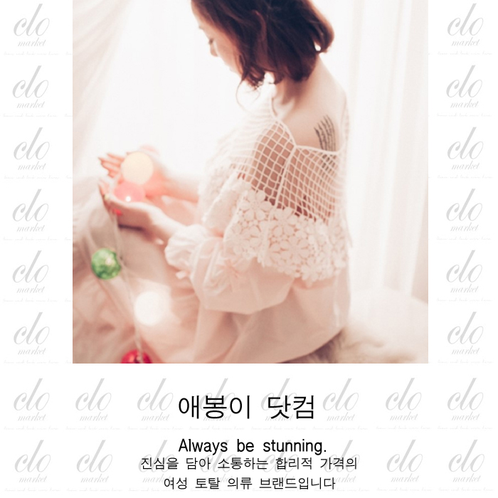 씨엘오(CLO) 이미지