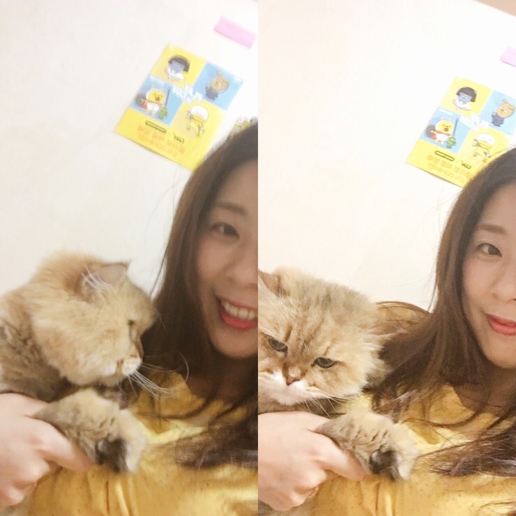 자니비어 이미지