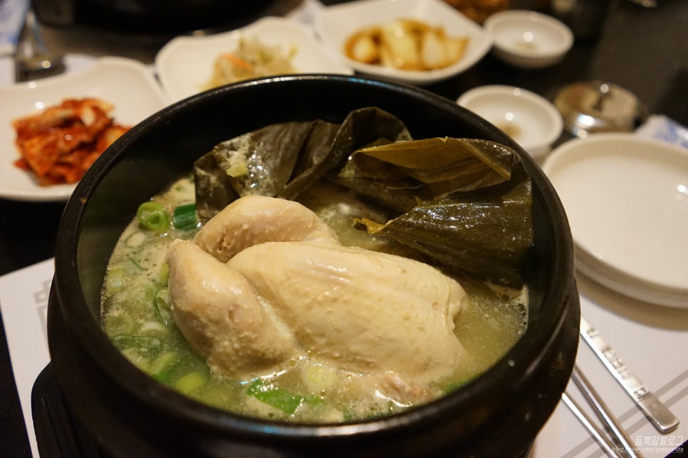 터알 이미지