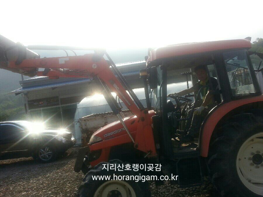 인스브레인 이미지