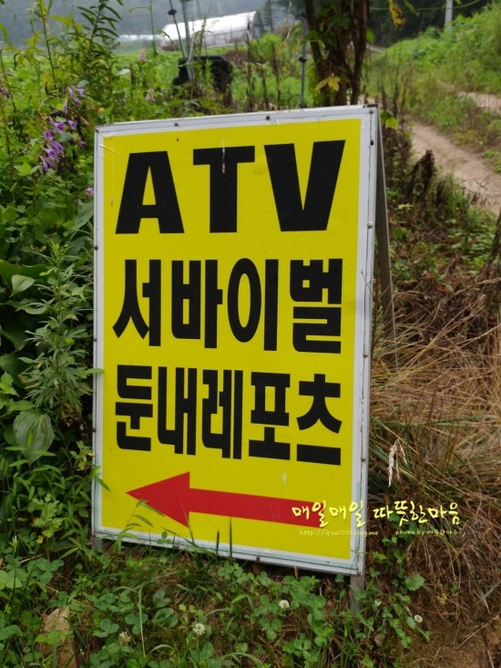 둔내레포츠 이미지