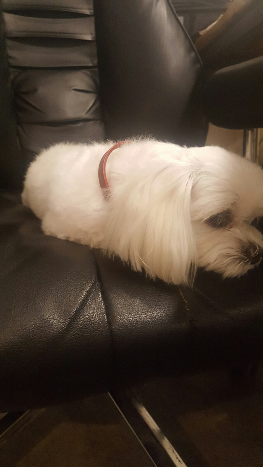 미소다이어트댄스 이미지