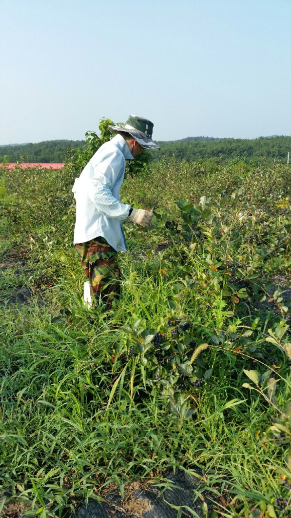 도도농장 이미지