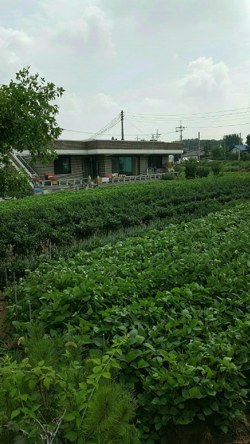 엄마네집 이미지
