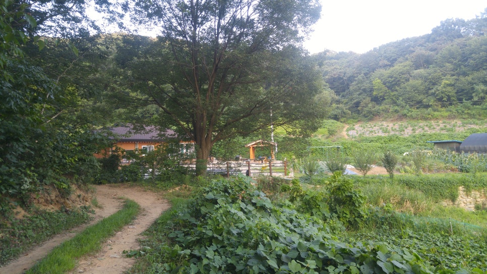 가시버시민박 이미지