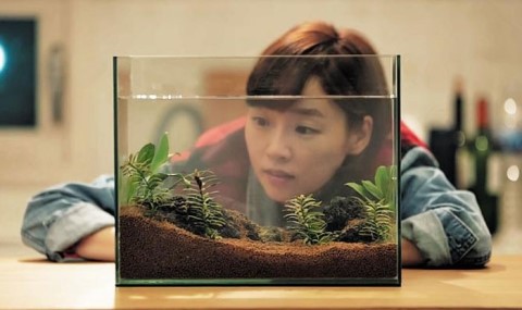 중앙광고기획 이미지