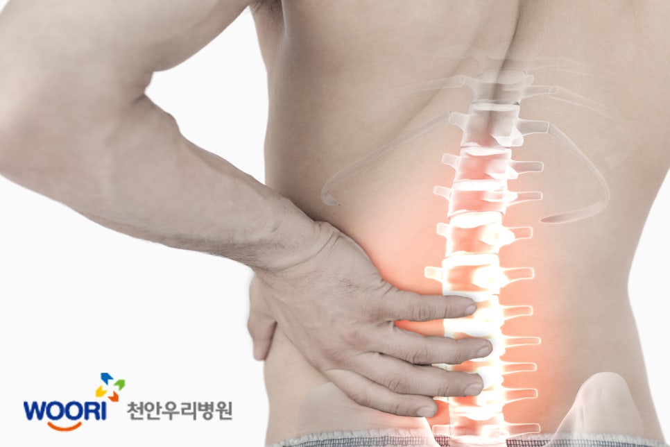 천안우리병원 이미지