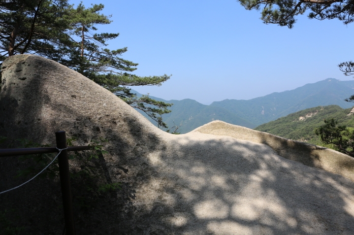 (주)삼아벤처 이미지