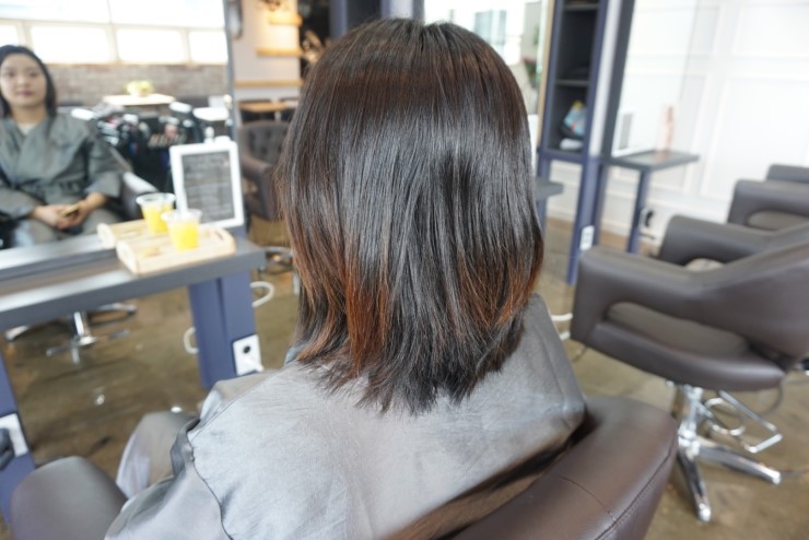 트레보헤어 이미지