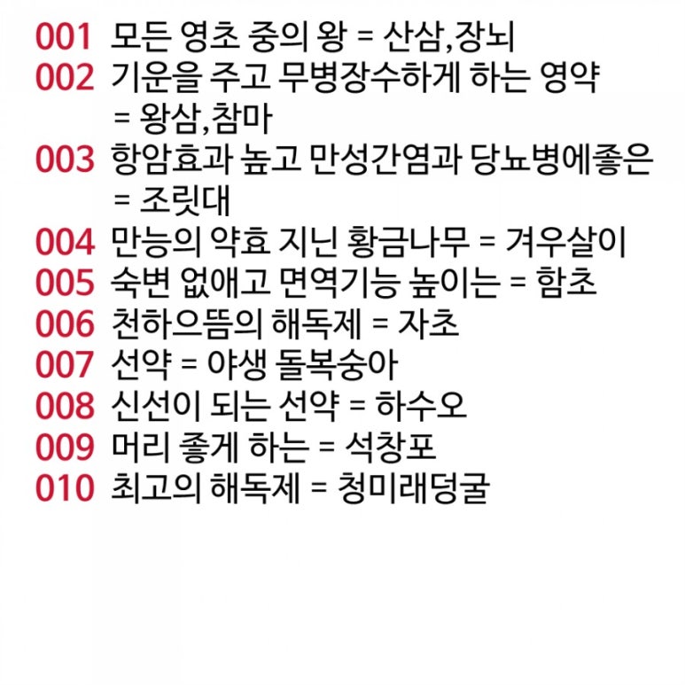 원주약초 이미지