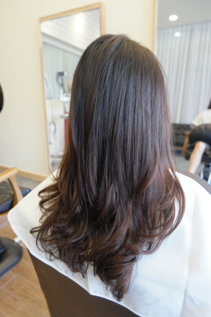 SALON DE Y(살롱드와이) 이미지