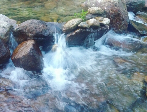 지리산반달곰팬션식당 이미지