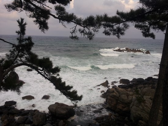 송림민박 이미지