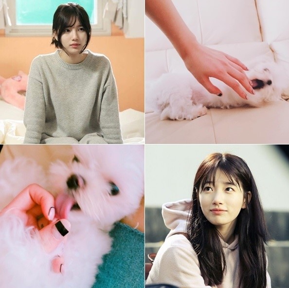 모리네일 이미지