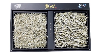 통영어심 이미지