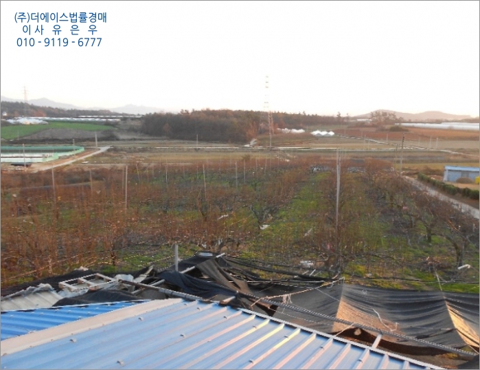 더과수원 이미지