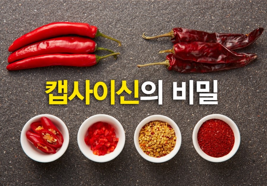 체담한방병원 이미지