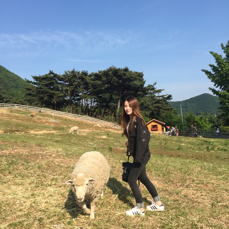 치킨목장 이미지
