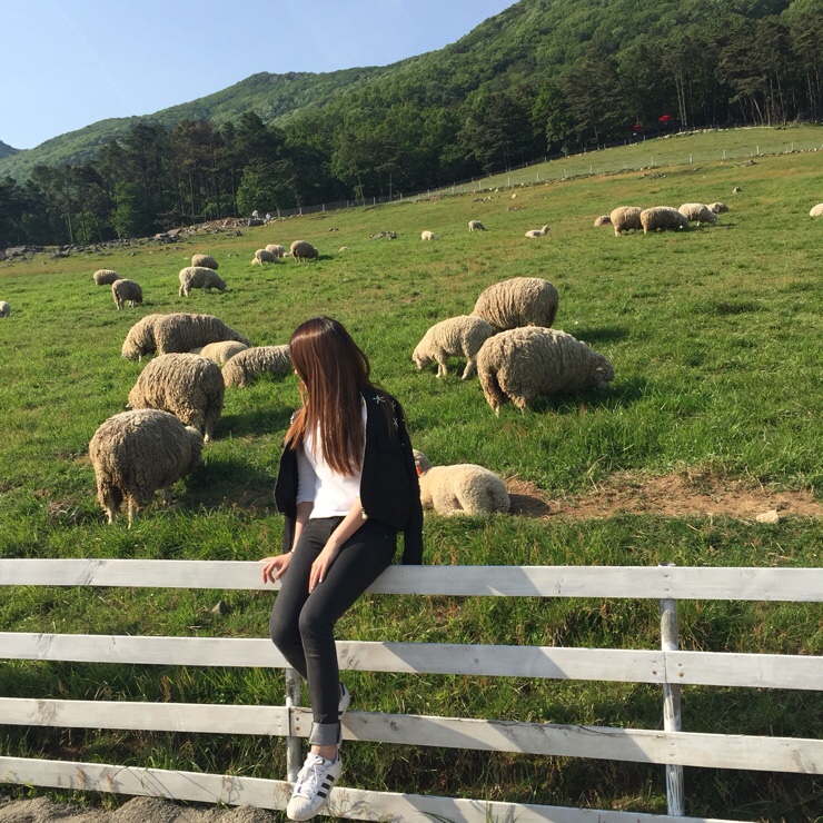 치킨목장 이미지
