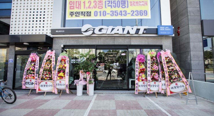 써니바이크 이미지