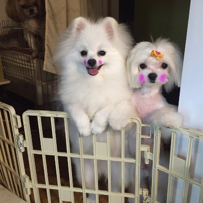 봄빛산부인과의원 이미지