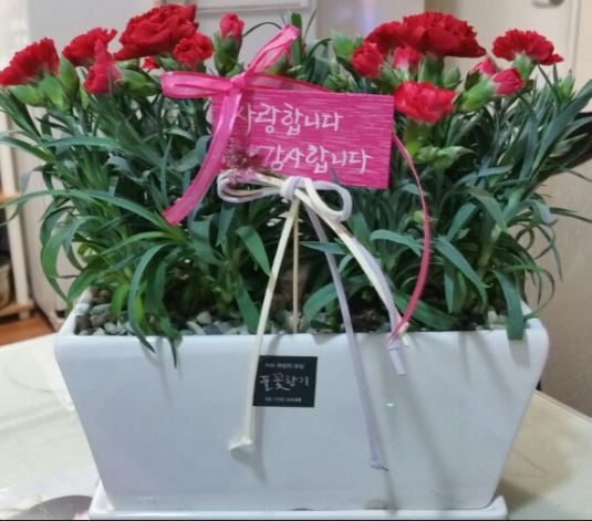 오션투어주 이미지