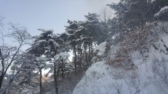 솔향민박 이미지