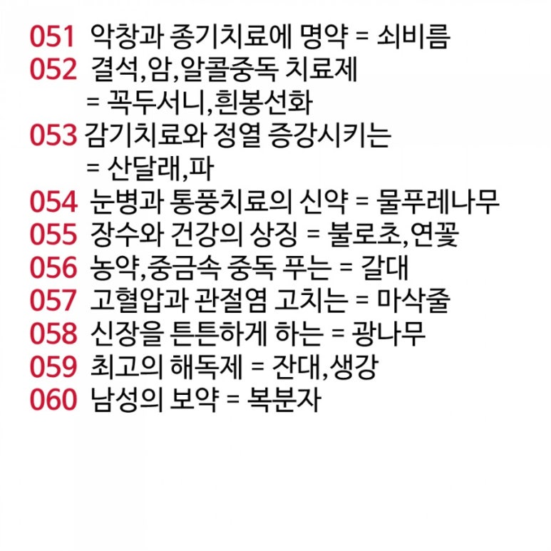 원주약초 이미지