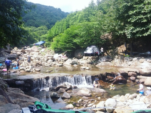 지리산반달곰팬션식당 이미지