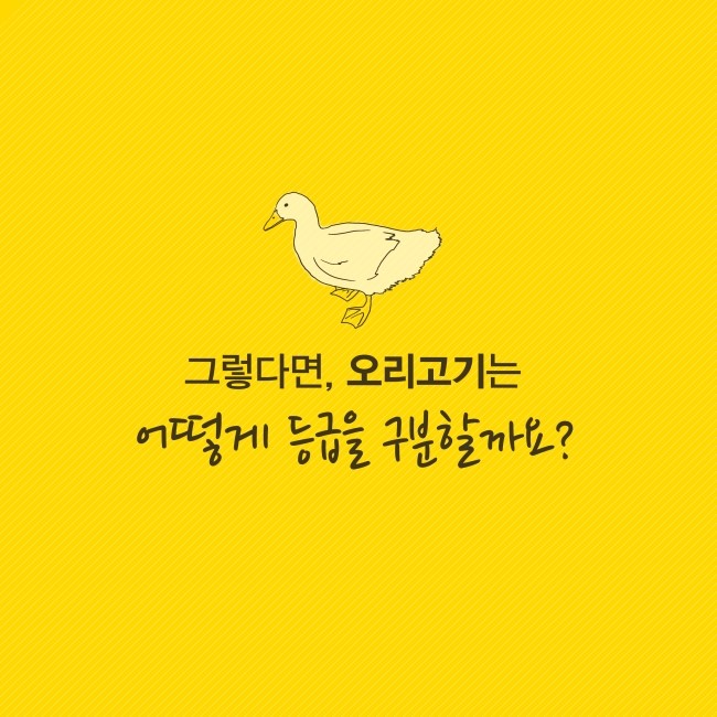 오리종합관리 이미지