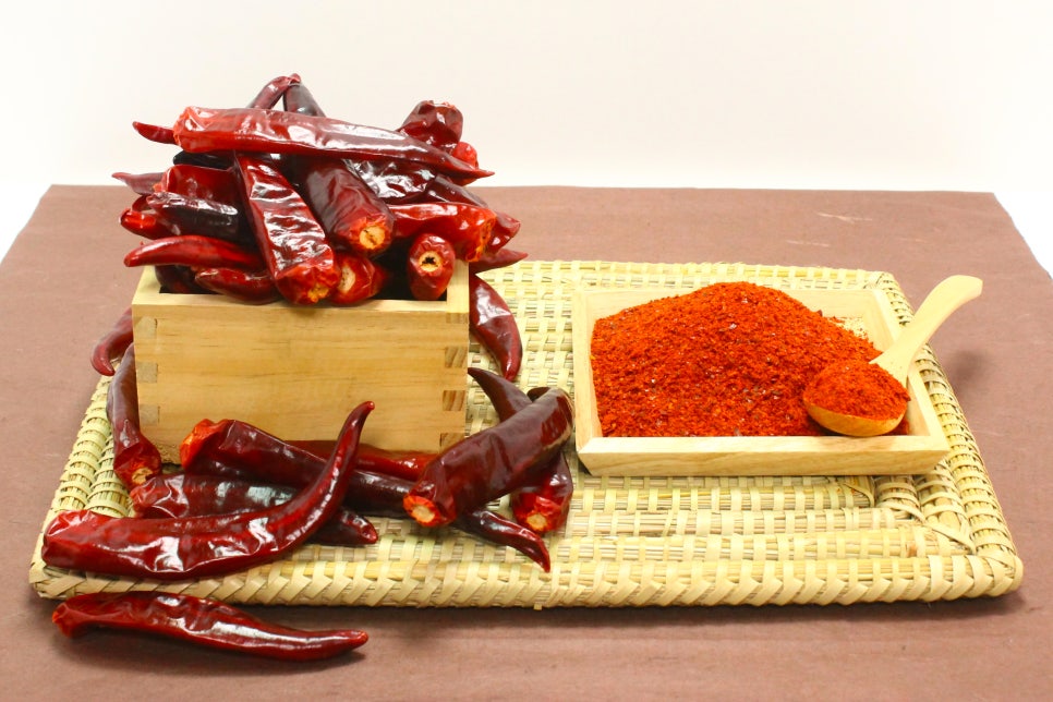 고참들 마당 이미지