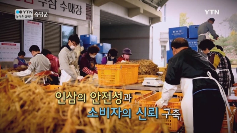 일번지유통 이미지