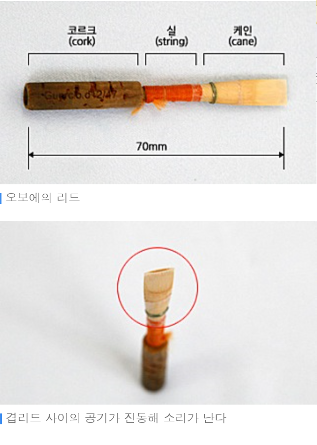 율뮤직 이미지