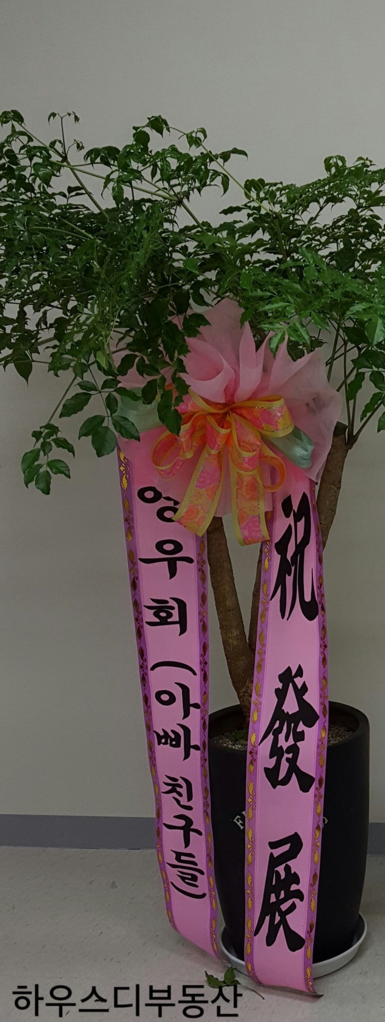 원우세무회계 이미지