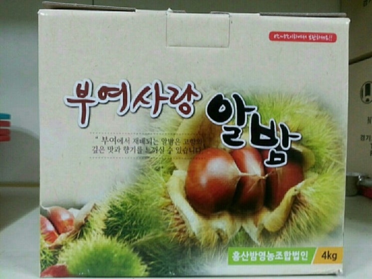 굿모닝인력 이미지