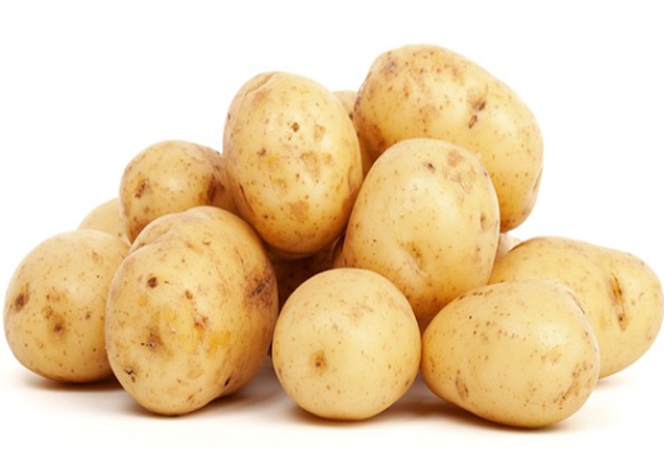 영칼로리 이미지