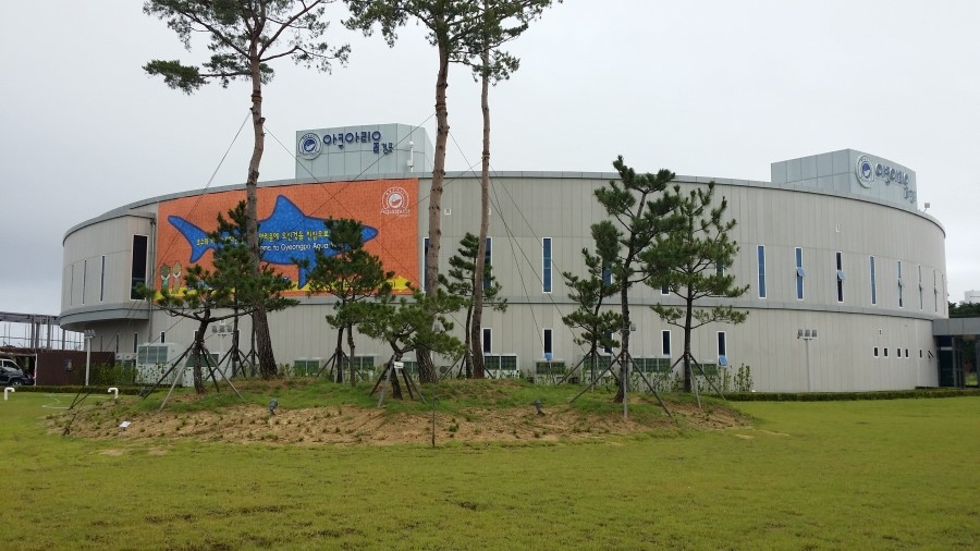 (주)경포아쿠아리움 이미지