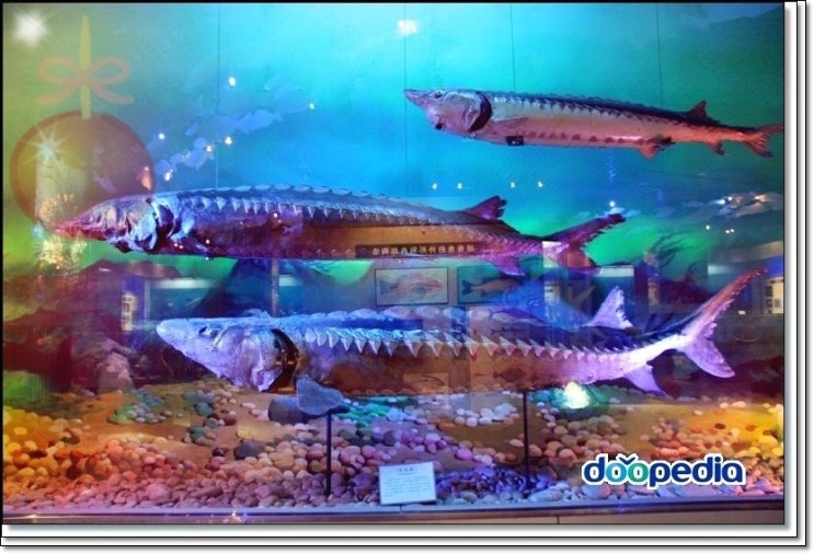 (주)상상방 이미지