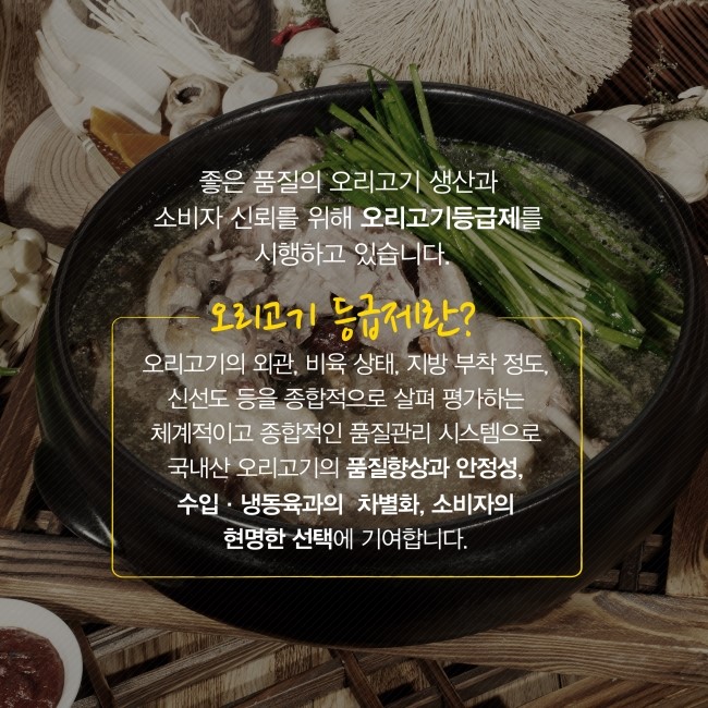 오리종합관리 이미지