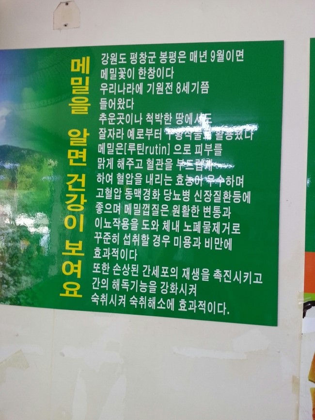봉평산골메밀촌 이미지