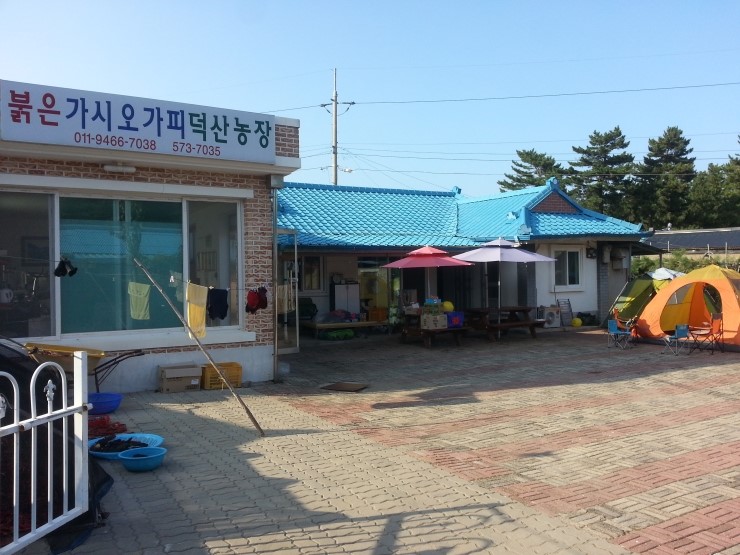 해맞이민박 이미지