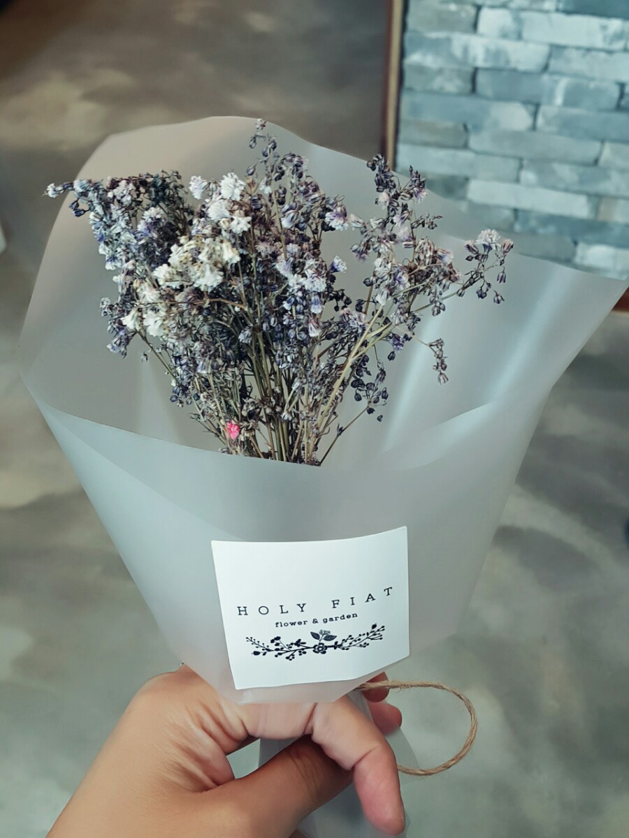 홀리피앗 이미지