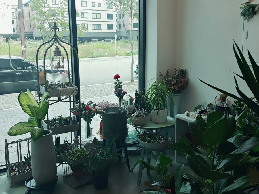 홀리피앗 이미지