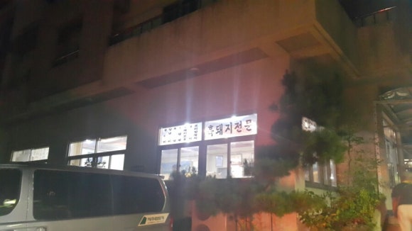 한라산똥돼지 이미지