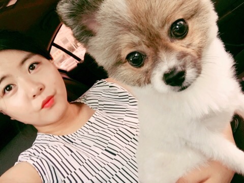 중앙가축병원 이미지