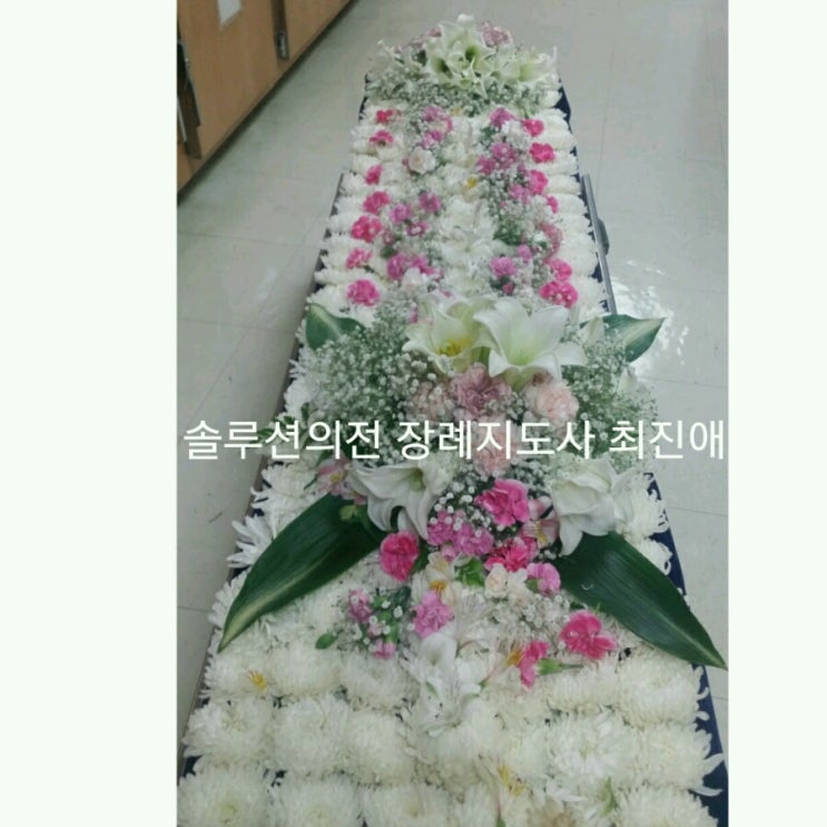 솔루션의전 이미지
