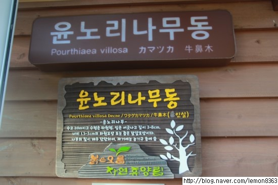 교래슈퍼 이미지