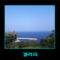 푸른밤라이브 이미지