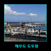 푸른밤라이브 이미지